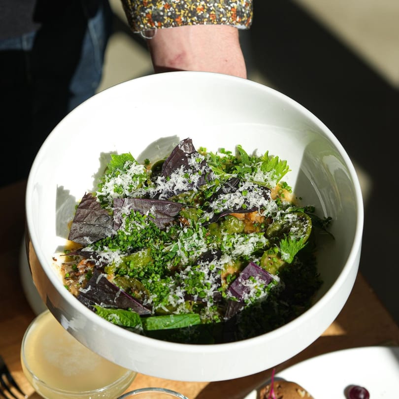 A person holds a white bowl filled with a vibrant salad, topped with green herbs and grated cheese.